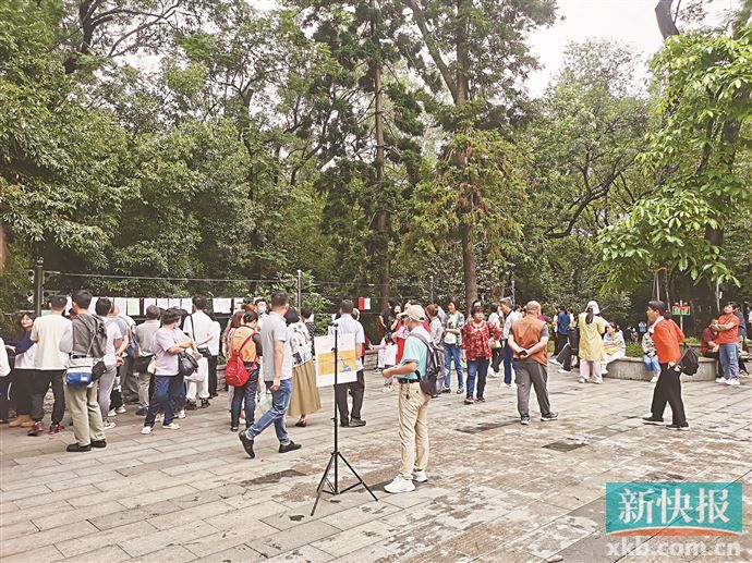米乐M6：脱单市场带火“王婆经济”“网生代”年轻人相亲从线上走向线下(图4)