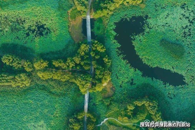 ㉿鹿溪雅园网站鹿溪雅园售楼处发布：直接认购中！(图1)