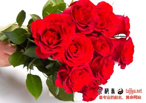 好听的婚介所及婚庆公司名字大全2019最新的(图2)
