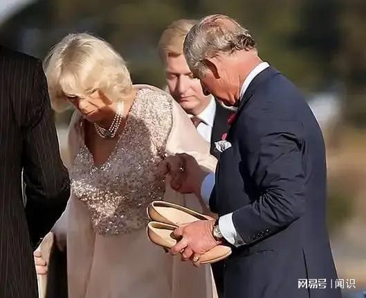 米乐M6：快看！查尔斯与卡米拉结婚20周年漫画版卡米拉秒变小萌妹(图4)