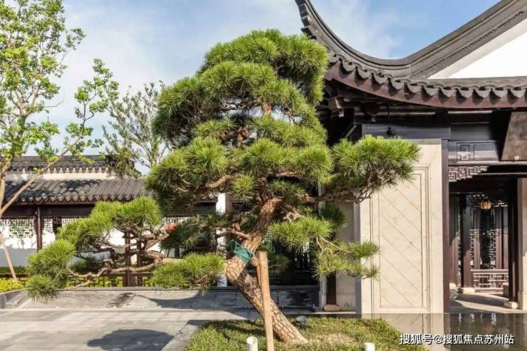 璟雲里售楼处电话青浦璟雲里售楼中心电话楼盘百科首页网站楼盘百科首页网站24小时热线(图4)