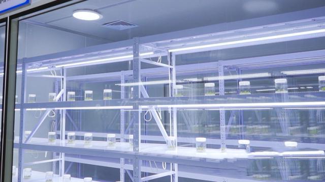 现代化农业技术！引领枣庄薛城零碳数字产业园绿色发展(图6)