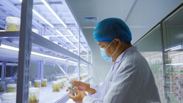 现代化农业技术！引领枣庄薛城零碳数字产业园绿色发展(图8)