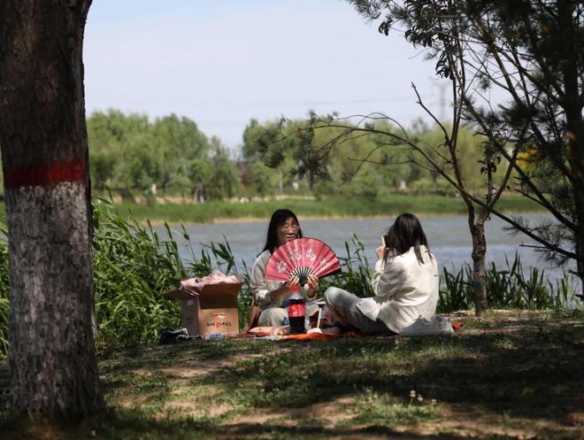 赴一湖之约！邢台打造“百年好合”婚恋基地(图2)